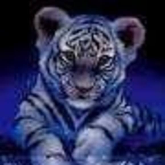 Meet your Posher, Sandra - Picture 1 of 1